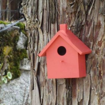 Instalaciones escuela infantil collado villalba